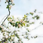 Landpension Am Sommerhang