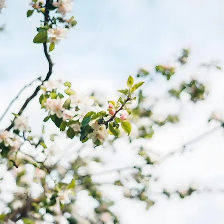 Landpension Am Sommerhang *