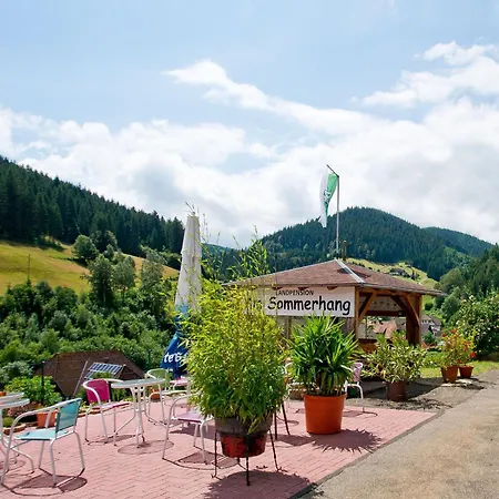 Apartamento Landpension Am Sommerhang Bad Rippoldsau-Schapbach