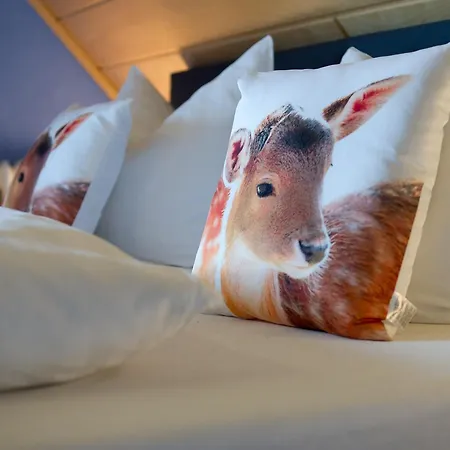 Landpension Am Sommerhang Apartamento