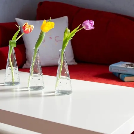 Apartamento Landpension Am Sommerhang Bad Rippoldsau-Schapbach