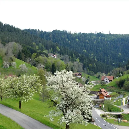 Apartamento Landpension Am Sommerhang Bad Rippoldsau-Schapbach