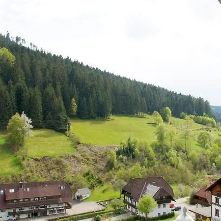Landpension Am Sommerhang 3* Bad Rippoldsau-Schapbach