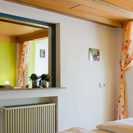 Landpension Am Sommerhang 3* Bad Rippoldsau-Schapbach