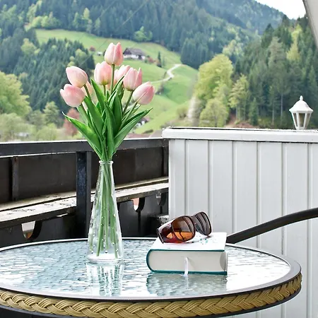 Landpension Am Sommerhang Bad Rippoldsau-Schapbach